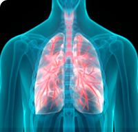 ����� | �ٷ���վ