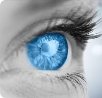 ����� | �ٷ���վ