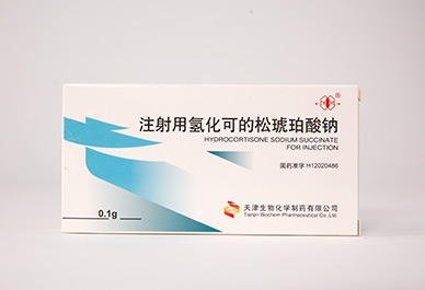 ����� | �ٷ���վ