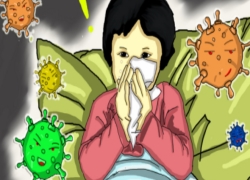 ����� | �ٷ���վ