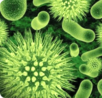 ����� | �ٷ���վ