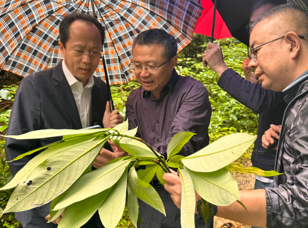 ����� | �ٷ���վ