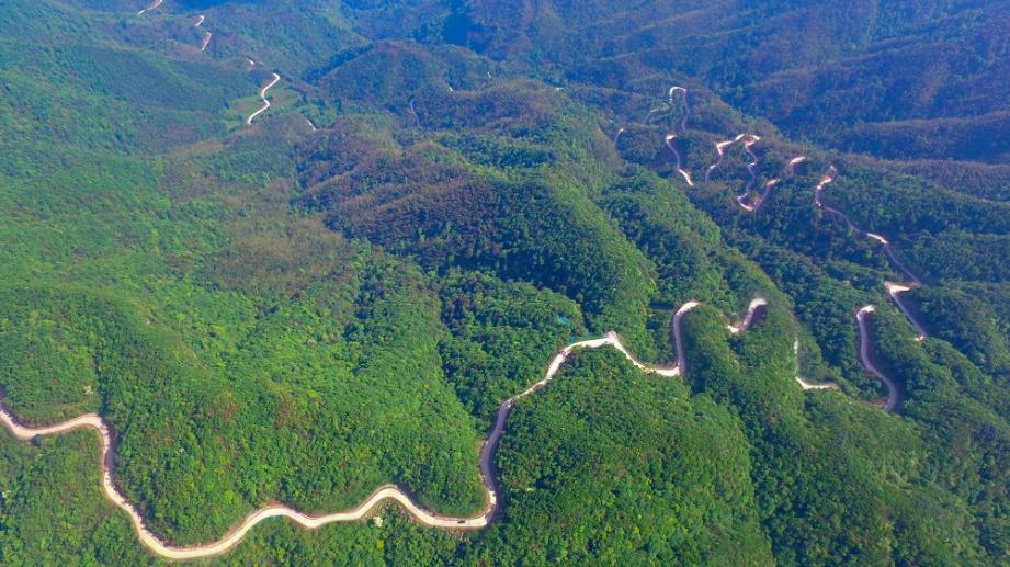 ����� | �ٷ���վ