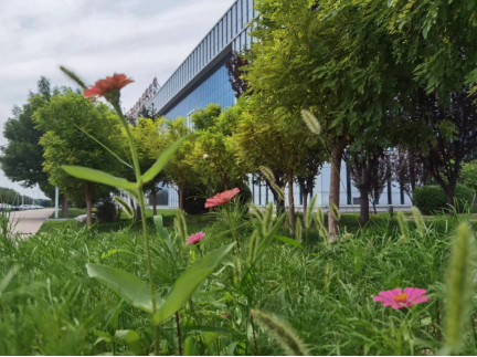 1659967615106865.png image.png