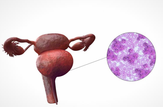 1661514878113819.png 1661514878113819.png