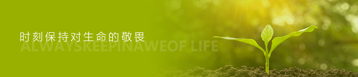 ����� | �ٷ���վ