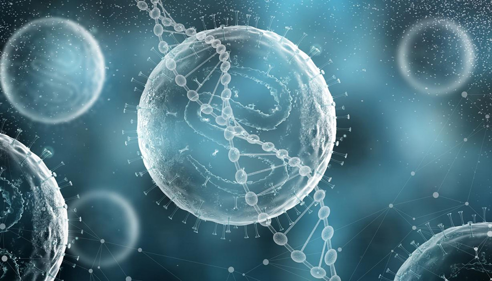 ����� | �ٷ���վ