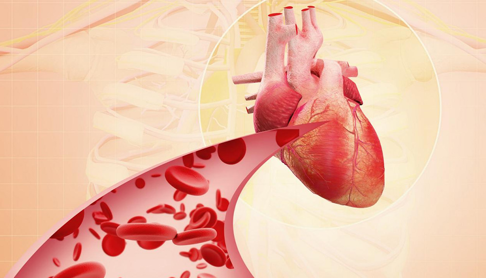 ����� | �ٷ���վ