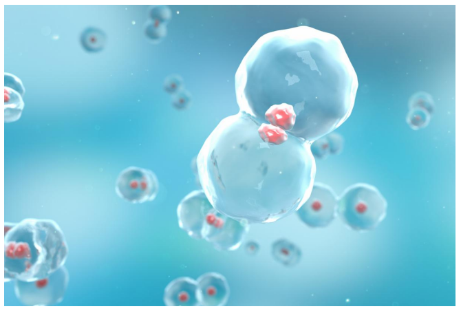 ����� | �ٷ���վ